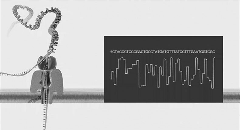 Иллюстрация к книге — ДНК. История генетической революции [i_104.jpg]