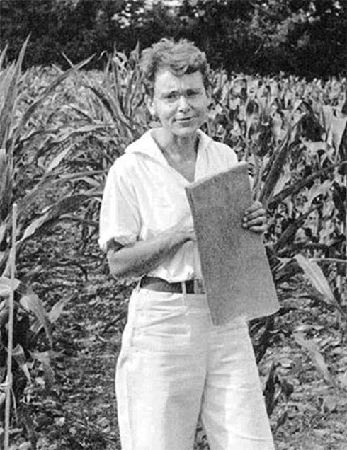 Иллюстрация к книге — ДНК. История генетической революции [i_118.jpg]