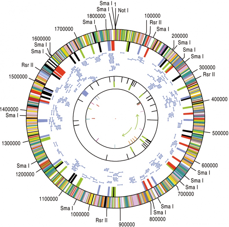 Иллюстрация к книге — ДНК. История генетической революции [i_120.jpg]