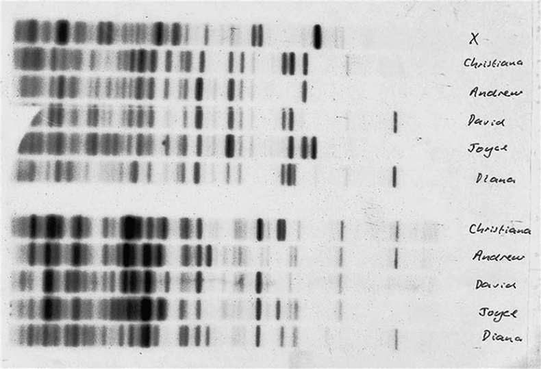 Иллюстрация к книге — ДНК. История генетической революции [i_138.jpg]