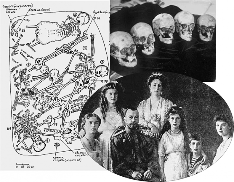 Иллюстрация к книге — ДНК. История генетической революции [i_141.jpg]