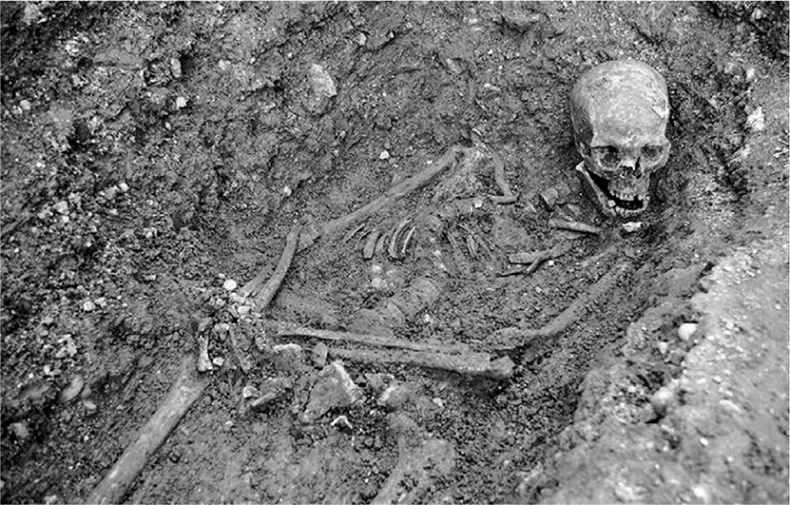 Иллюстрация к книге — ДНК. История генетической революции [i_143.jpg]