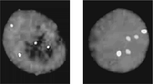 Иллюстрация к книге — ДНК. История генетической революции [i_153.jpg]