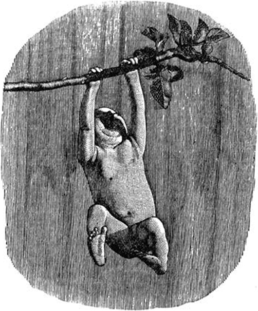 Иллюстрация к книге — ДНК. История генетической революции [i_163.jpg]