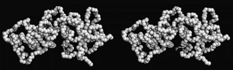 Иллюстрация к книге — ДНК. История генетической революции [i_170.jpg]