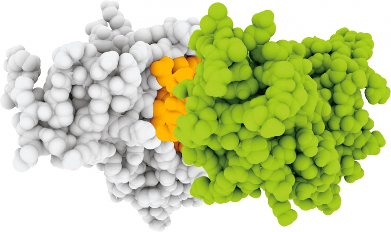 Иллюстрация к книге — ДНК. История генетической революции [i_180.jpg]