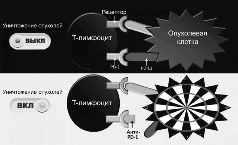 Иллюстрация к книге — ДНК. История генетической революции [i_182.jpg]