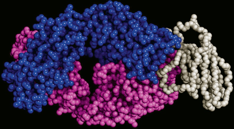 Иллюстрация к книге — ДНК. История генетической революции [i_183.jpg]