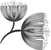 Иллюстрация к книге — Я превращаюсь в дождь [i_002.jpg]