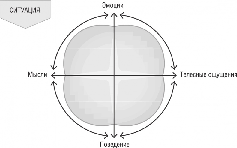 Иллюстрация к книге — ОН. Интимный разговор про тот самый орган [i_021.jpg]