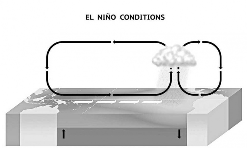 Иллюстрация к книге — Тайны природных аномалий [i_009.jpg]
