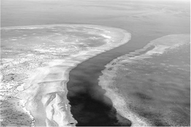 Иллюстрация к книге — Тайны природных аномалий [i_019.jpg]