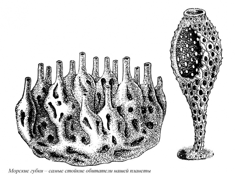 Иллюстрация к книге — Тайны природных аномалий [i_024.jpg]