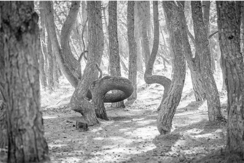 Иллюстрация к книге — Тайны природных аномалий [i_025.jpg]