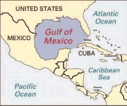 Иллюстрация к книге — Забытые союзники во Второй мировой войне [i_023.jpg]