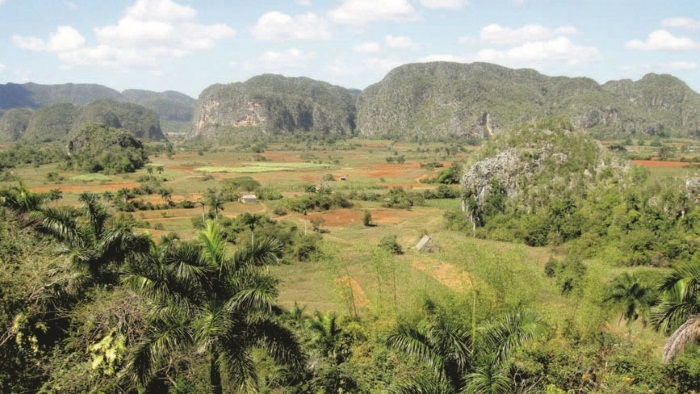 Иллюстрация к книге — Забытые союзники во Второй мировой войне [i_080.jpg]