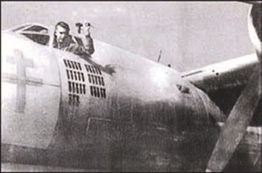 Иллюстрация к книге — Забытые союзники во Второй мировой войне [i_102.jpg]