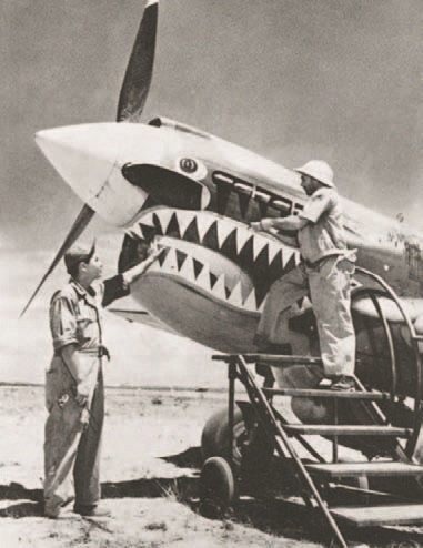 Иллюстрация к книге — Забытые союзники во Второй мировой войне [i_110.jpg]