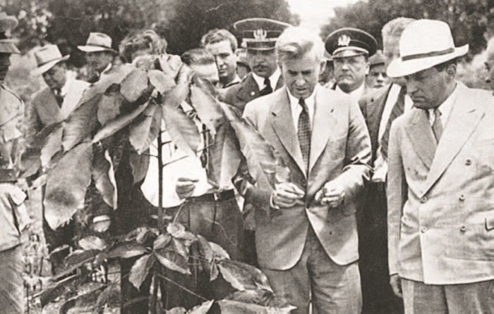 Иллюстрация к книге — Забытые союзники во Второй мировой войне [i_123.jpg]