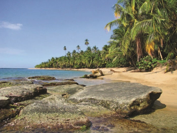 Иллюстрация к книге — Забытые союзники во Второй мировой войне [i_124.jpg]