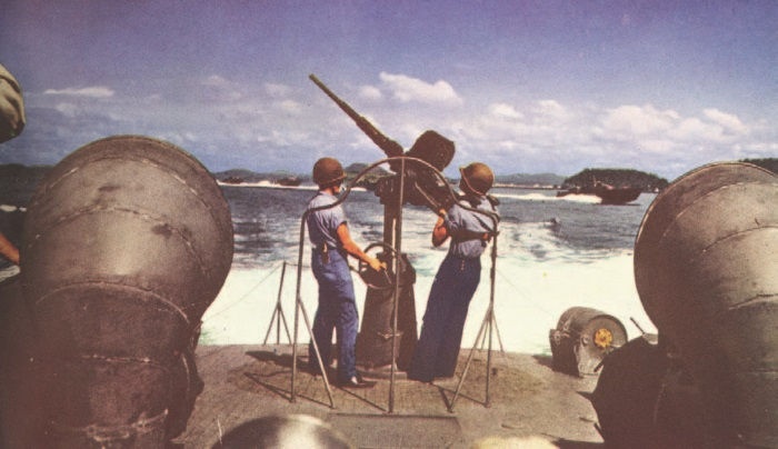 Иллюстрация к книге — Забытые союзники во Второй мировой войне [i_140.jpg]