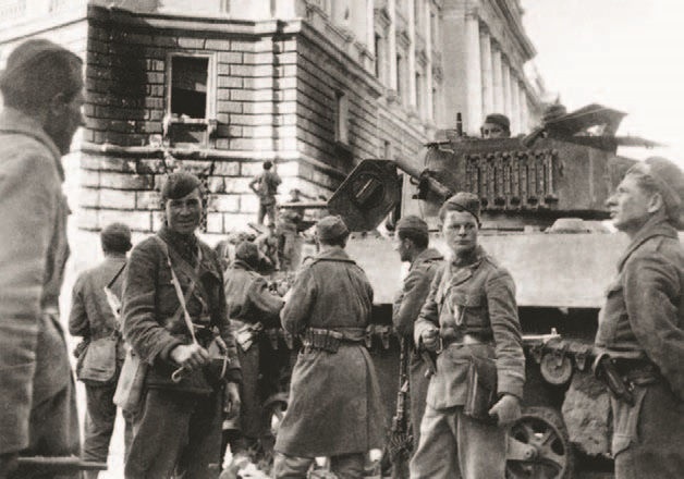 Иллюстрация к книге — Забытые союзники во Второй мировой войне [i_213.jpg]