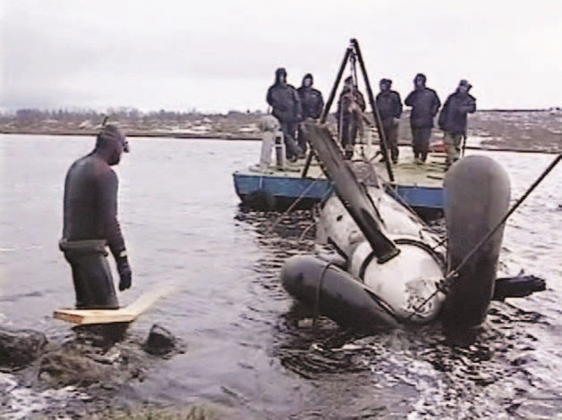 Иллюстрация к книге — Забытые союзники во Второй мировой войне [i_235.jpg]
