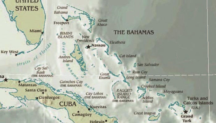 Иллюстрация к книге — Забытые союзники во Второй мировой войне [i_258.jpg]