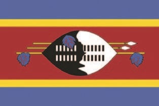 Иллюстрация к книге — Забытые союзники во Второй мировой войне [i_282.jpg]