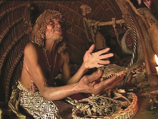 Иллюстрация к книге — Забытые союзники во Второй мировой войне [i_288.jpg]