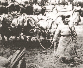 Иллюстрация к книге — Забытые союзники во Второй мировой войне [i_345.jpg]