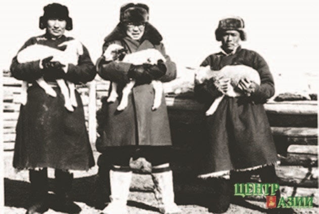 Иллюстрация к книге — Забытые союзники во Второй мировой войне [i_353.jpg]