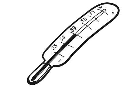 Иллюстрация к книге — Здоровье ребенка. Современный подход. Как научиться справляться с болезнями и собственной паникой [i_053.jpg]