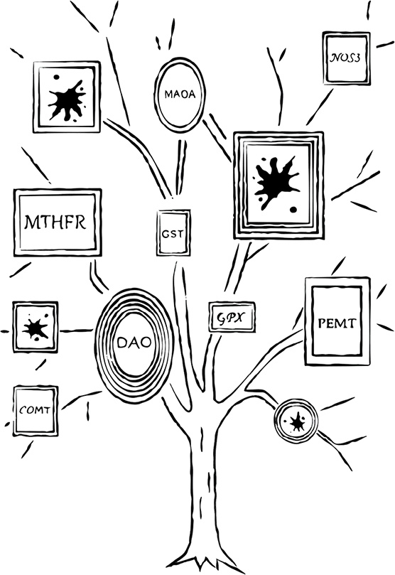 Иллюстрация к книге — Грязные гены. &quot;Большая стирка&quot; для вашей ДНК. Как изменить свою наследственность [i_003.jpg]