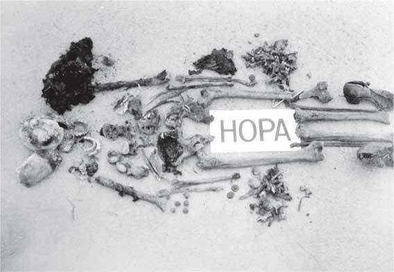 Иллюстрация к книге — Анастасия и Алексей Романовы в Болгарии? Шокирующее расследование. Факты, теории, фото [i_008.jpg]