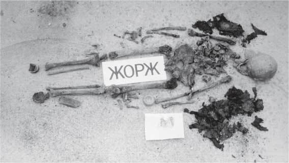 Иллюстрация к книге — Анастасия и Алексей Романовы в Болгарии? Шокирующее расследование. Факты, теории, фото [i_009.jpg]