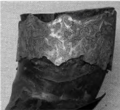 Иллюстрация к книге — Русь в IX–X веках. От призвания варягов до выбора веры [i_027.jpg]