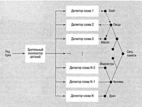 Иллюстрация к книге — Когнитивная психология [img_236.jpg]