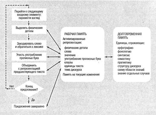 Иллюстрация к книге — Когнитивная психология [img_239.jpg]