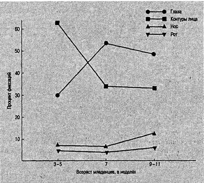 Иллюстрация к книге — Когнитивная психология [img_267.jpg]