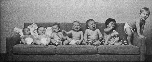 Иллюстрация к книге — Когнитивная психология [img_270.jpg]