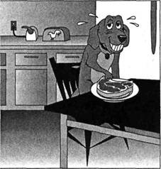 Иллюстрация к книге — Когнитивная психология [img_302.jpg]