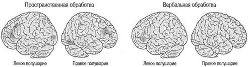 Иллюстрация к книге — Когнитивная психология [img_323.jpg]