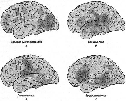 Иллюстрация к книге — Когнитивная психология [img_33.jpg]