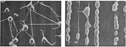 Иллюстрация к книге — Когнитивная психология [img_330.jpg]
