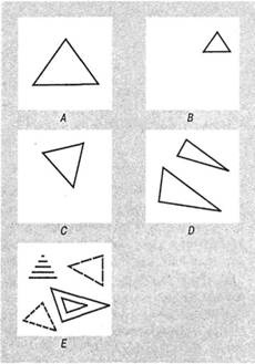 Иллюстрация к книге — Когнитивная психология [img_336.jpg]
