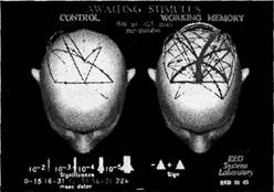 Иллюстрация к книге — Когнитивная психология [img_35.jpg]