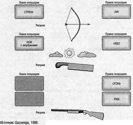 Иллюстрация к книге — Когнитивная психология [img_38.jpg]
