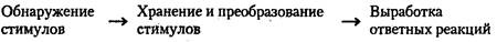 Иллюстрация к книге — Когнитивная психология [img_9.jpg]