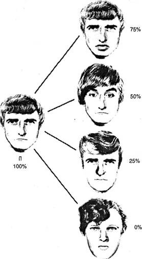 Иллюстрация к книге — Когнитивная психология [img_92.jpg]